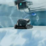 Dolphin S2000 - Image 3